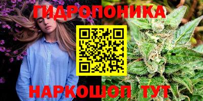 стафф Ликино-Дулёво