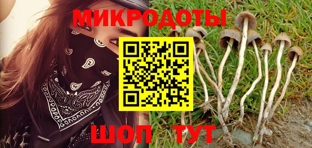 Галлюциногенные грибы Magic Shrooms Избербаш