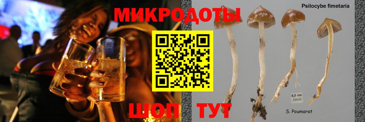 Галлюциногенные грибы MAGIC MUSHROOMS  где купить   Избербаш  Вход с VPN 